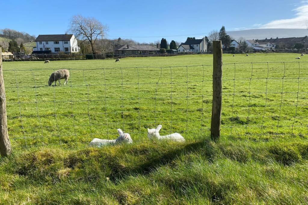 Sawley In The Forest Of Bowland - Cosy Cottage. Clitheroe Exteriör bild